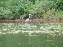 IMG_0138.JPG