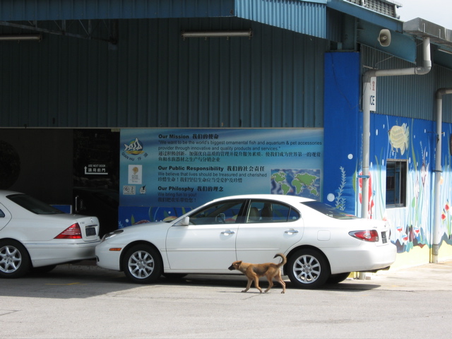 Shipping center