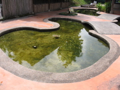 Kid pond