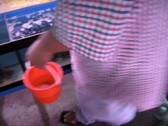 Catch-it yourself