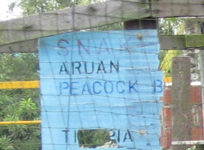 Danger
