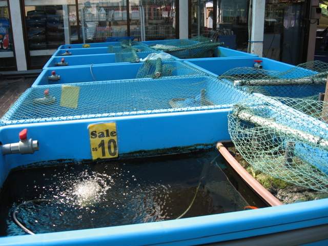 Sale tanks