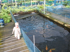 IMG_0859.JPG