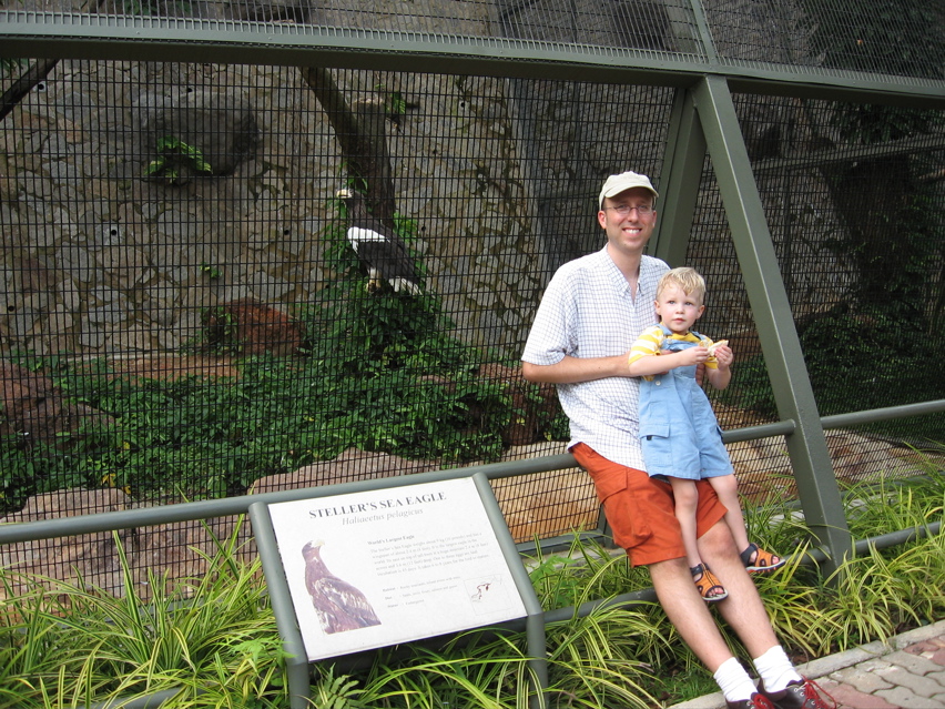 Sea Eagle