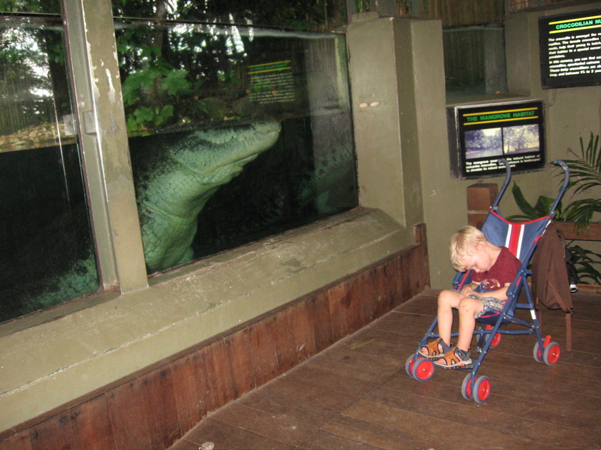Croc