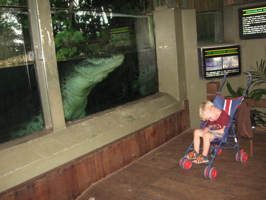 Croc