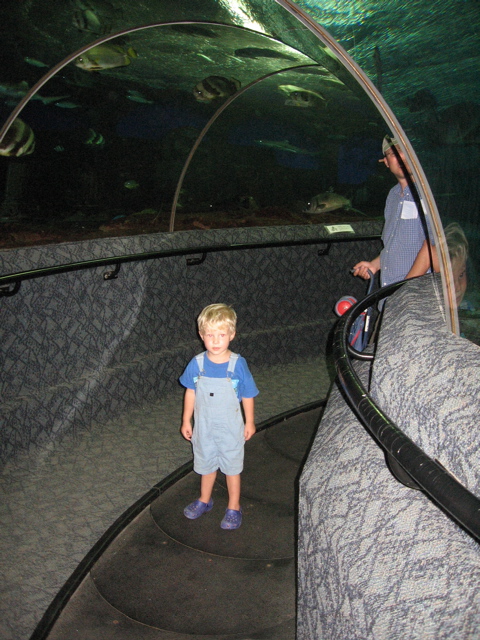 Underwater World