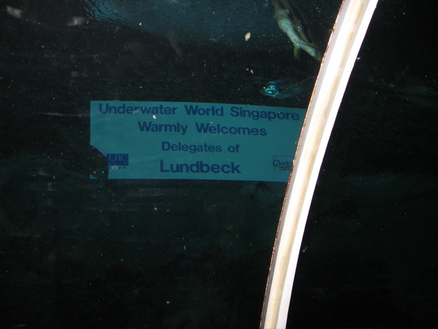 Underwater Money