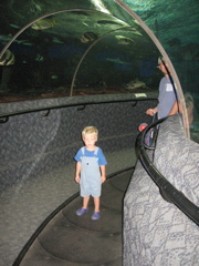 Underwater World