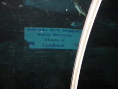 Underwater Money
